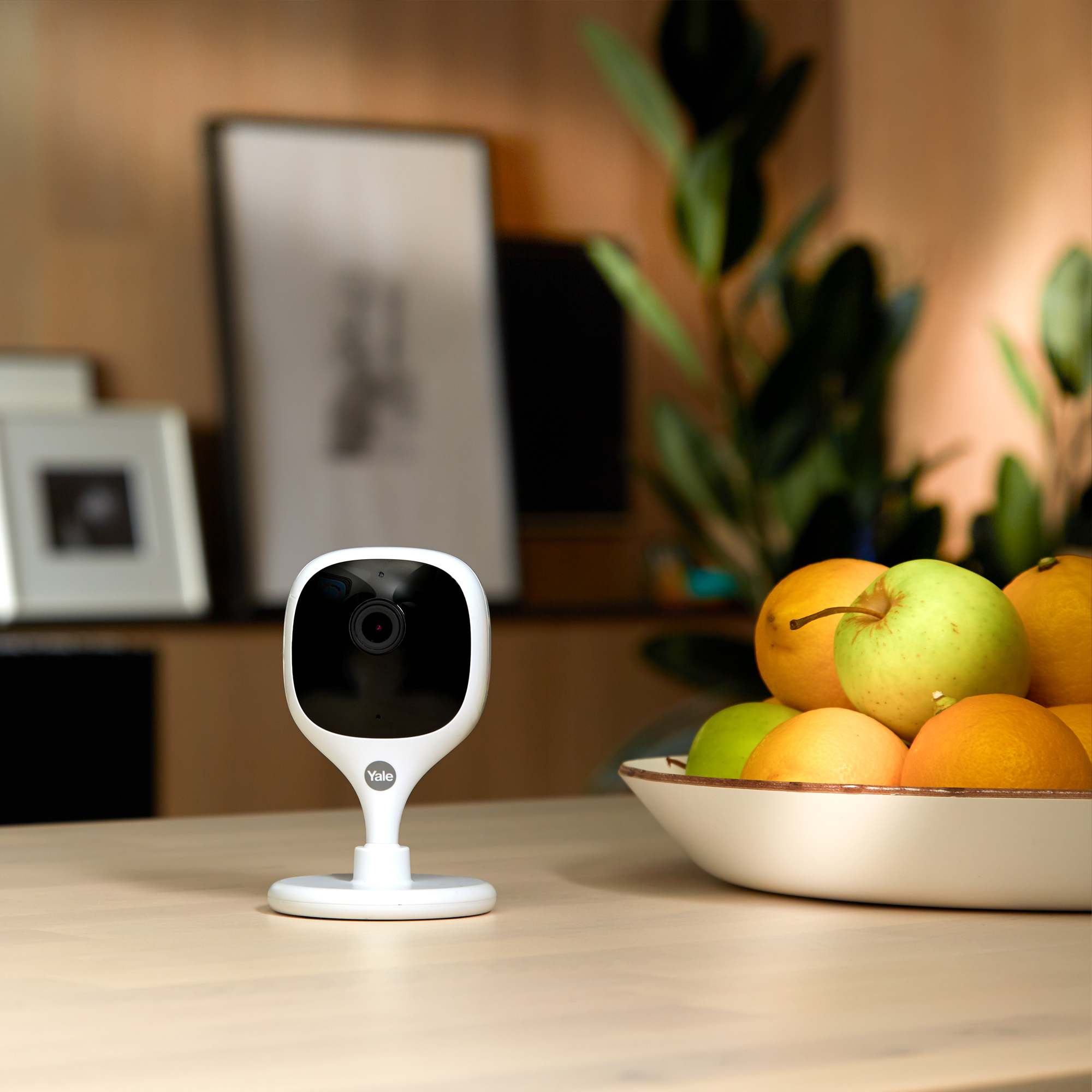 yale camera indoor
